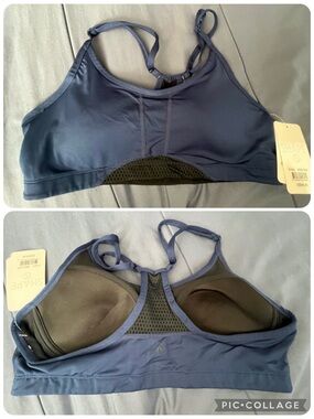 NWT Shape Exceed Bra - Medival Blue - Size Large